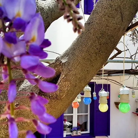 Guest house Amaranda Ada Evi (adults Only) Bozcaada