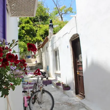 Pensiune Amaranda Ada Evi (adults Only) 3*