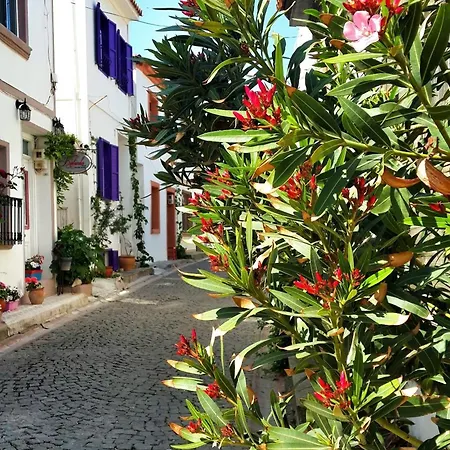 Pensiune Amaranda Ada Evi (adults Only) 3*